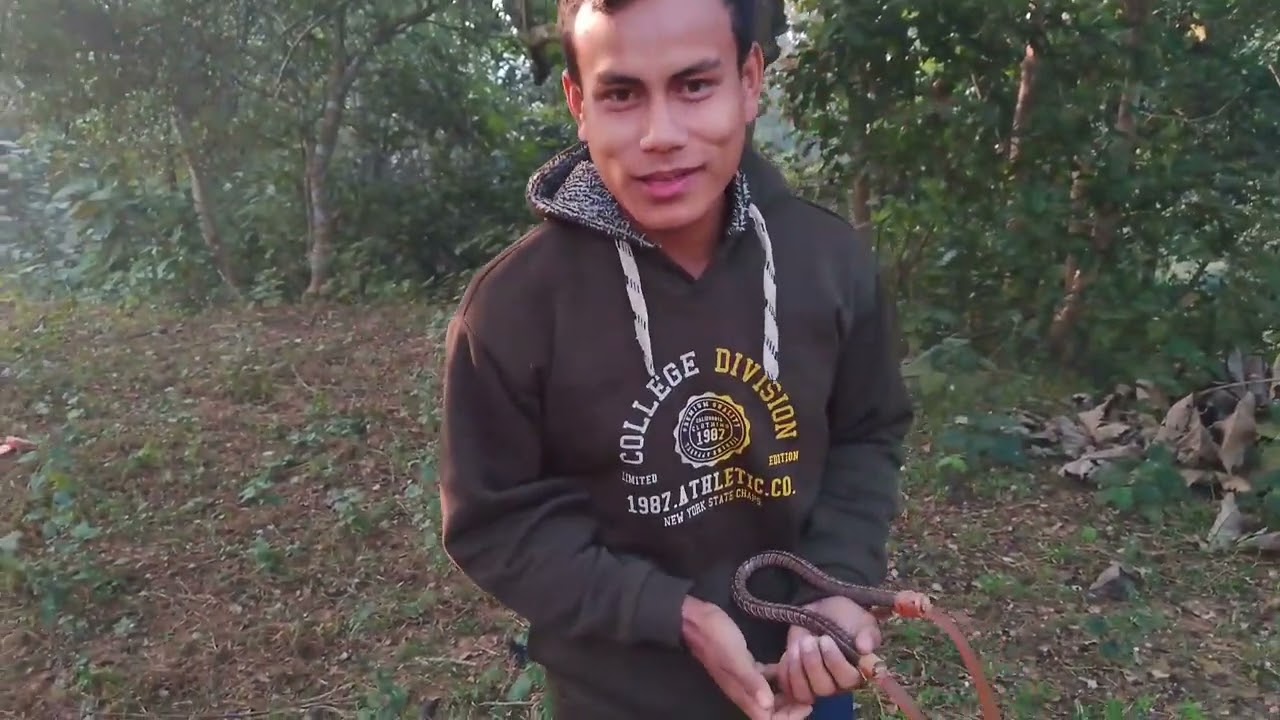 Chini boroi bwphang ni#mandhar kaomani#tini morning time oh