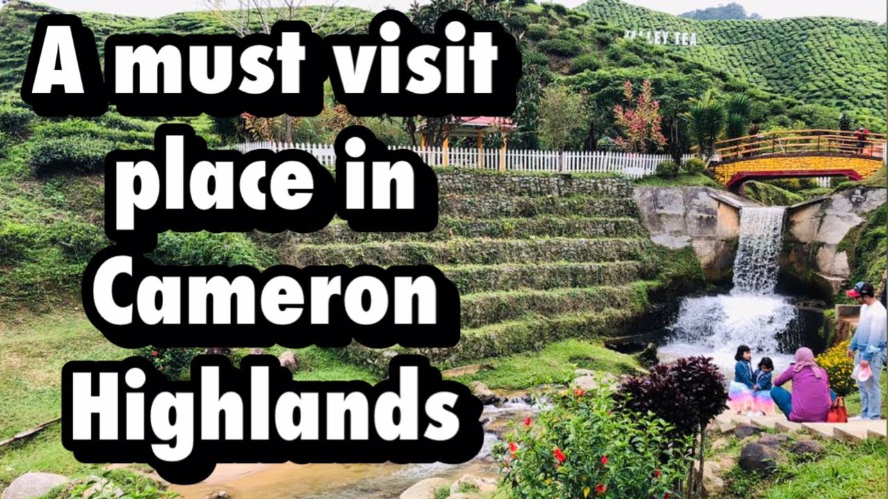 Cameron Valley Tea House | Cameron Highlands | Malaysia
