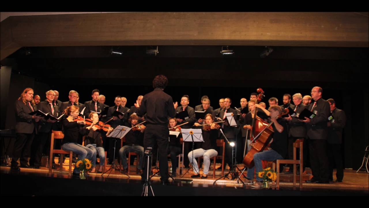 Männerchor Elzach - Viva la Vida