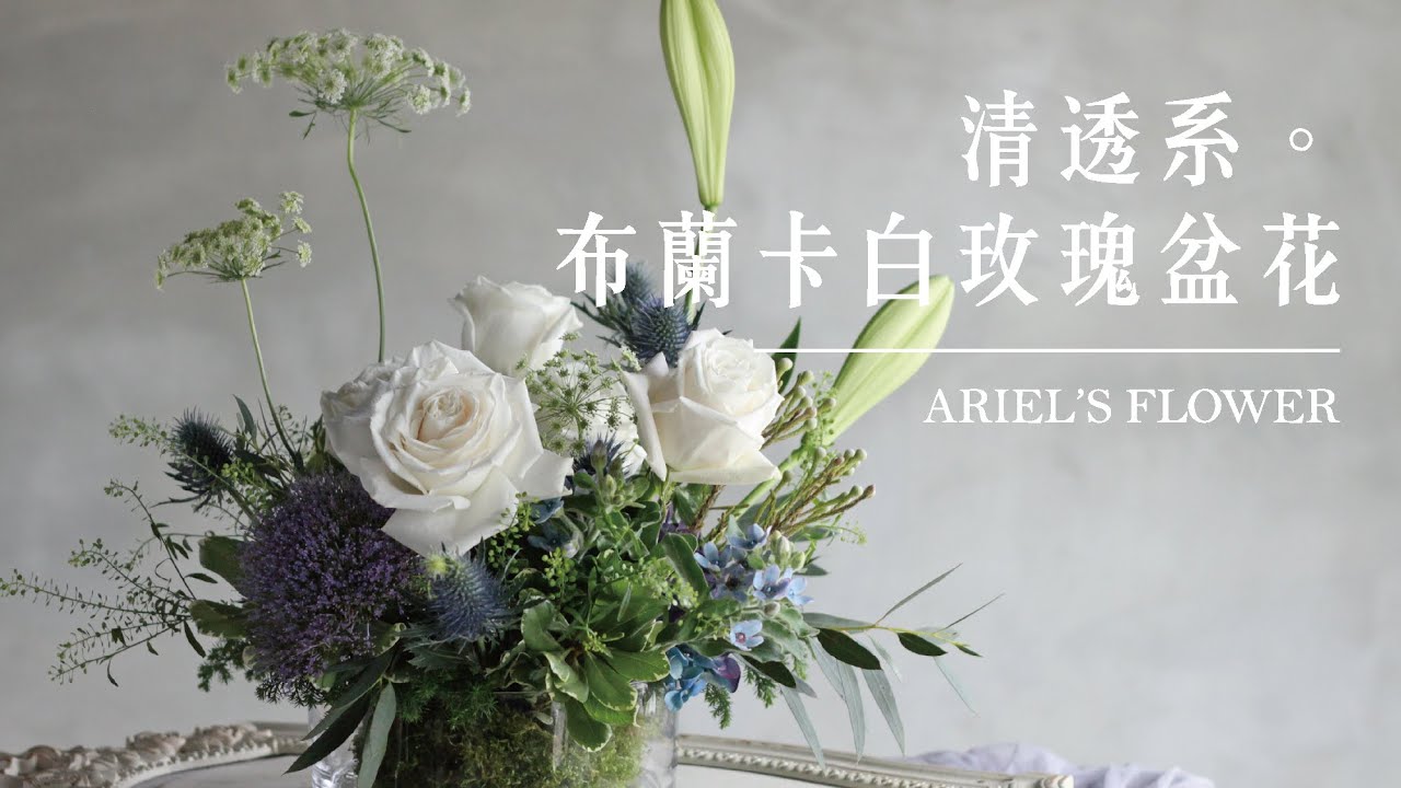 艾瑞兒花藝Ariel's Flower ▌清透系。布蘭卡白玫瑰盆花