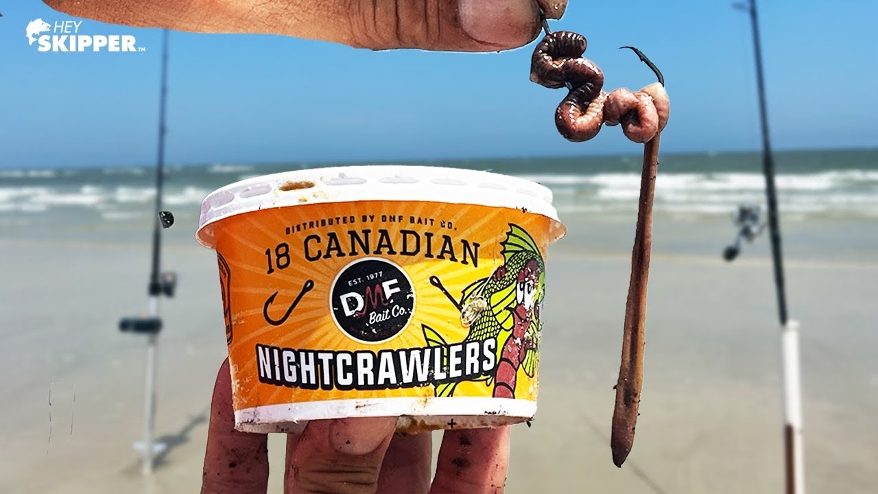 Can Earthworms Catch Fish In The Ocean? Testing Freshwater Bait For Surf Fishing
