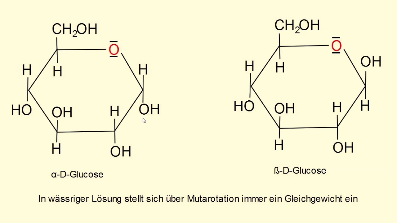 Kohlenhydrate Ringbildung