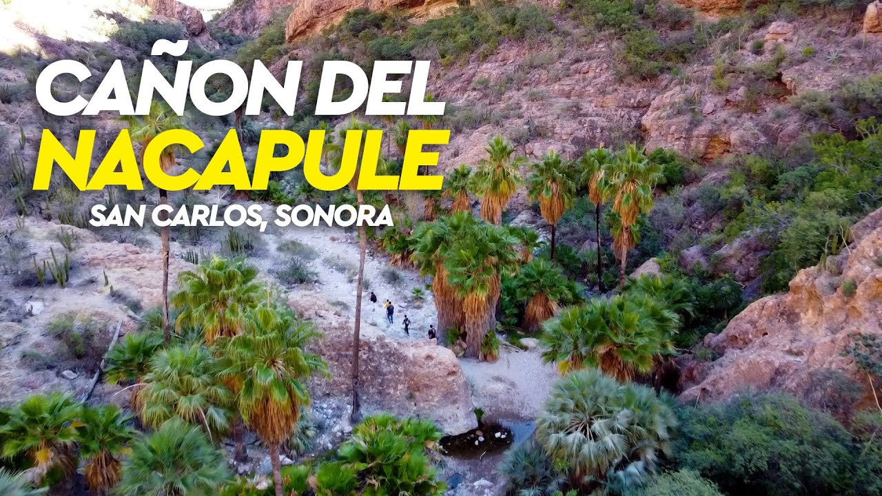 🔴¿Qué hacer en San Carlos?🔴 🌴 - EL CAÑON DEL NACAPULE🔴