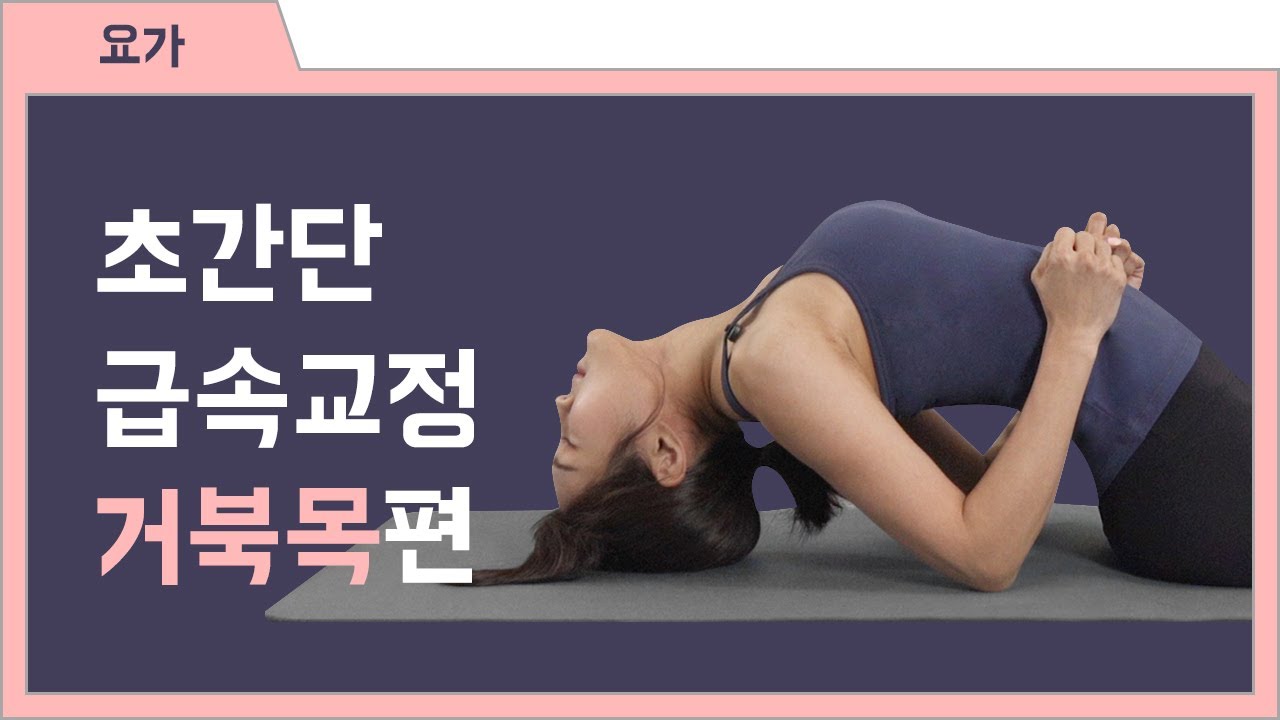 [체형교정요가] 어깨와 목 통증이 있다면!! 5분 급속 경추교정|라운드숄더 스트레칭|간단한 거북목교정요가