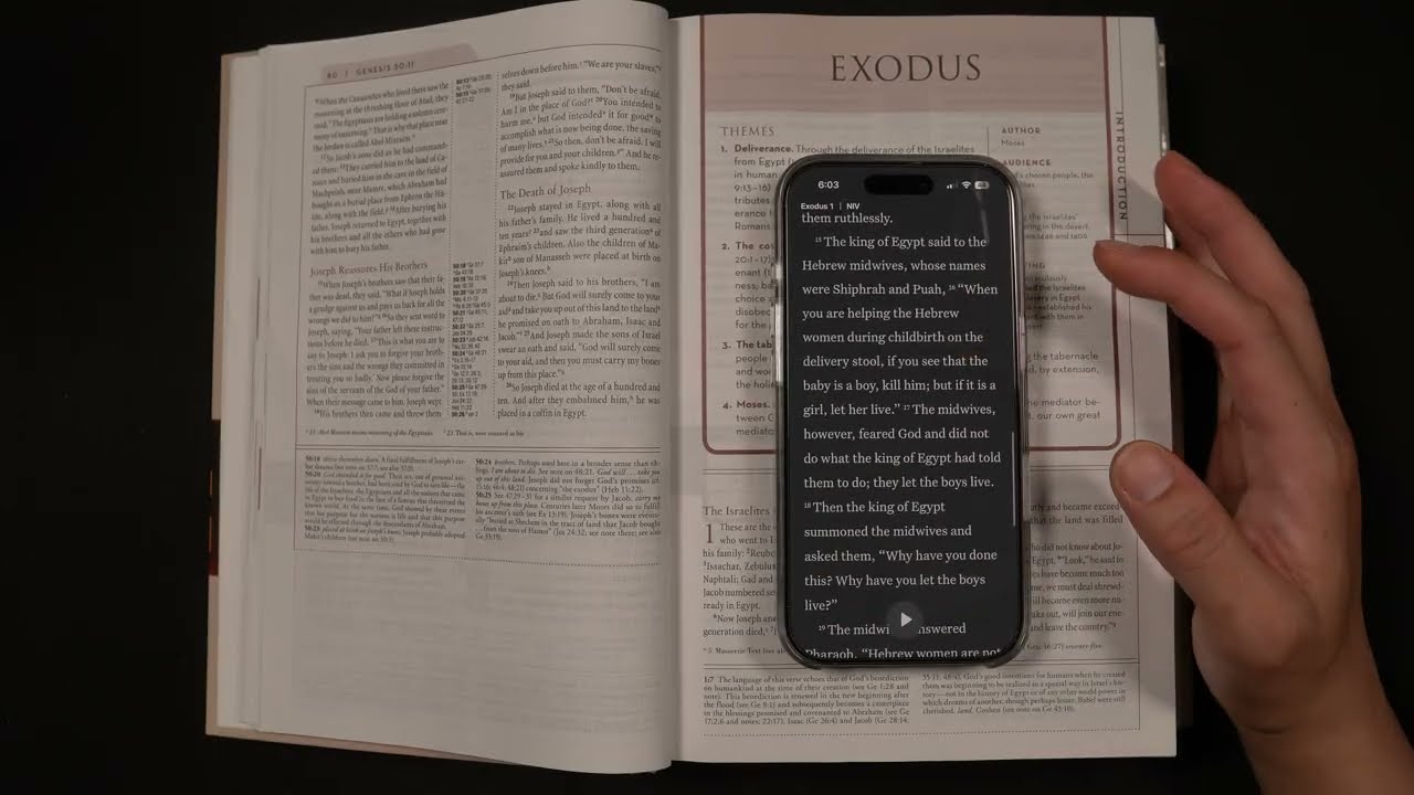Exodus 1-3, Psalm 17