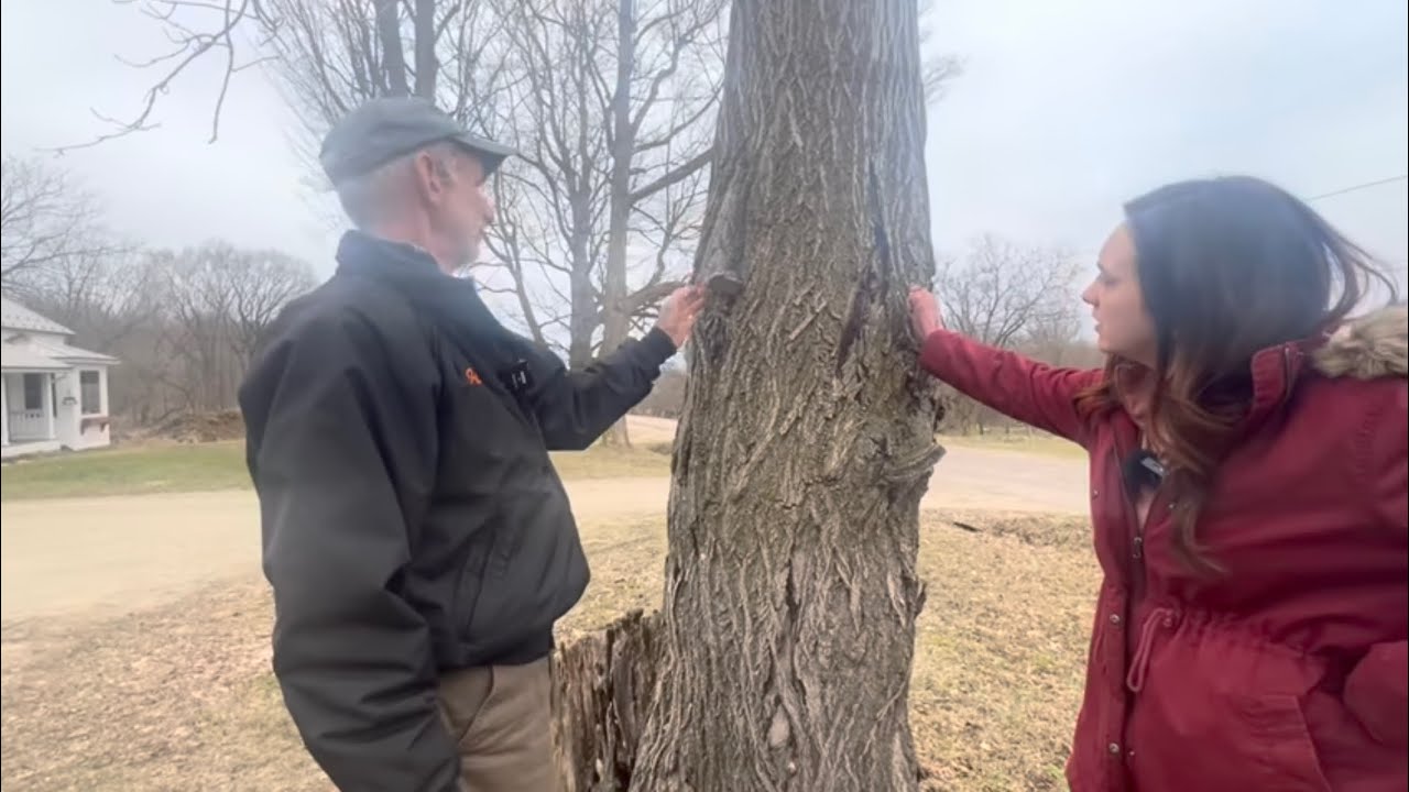 TO TREE OR NOT TO TREE&hellip; That is the Question.