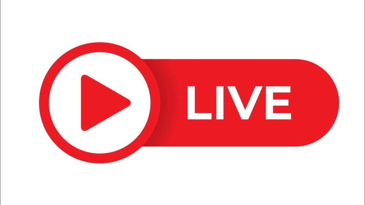 Studies Summer Live  is live