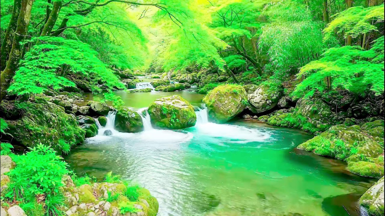 Calming River Sound for Deep Sleep | Natural Healing Ambience for Health and Peace
