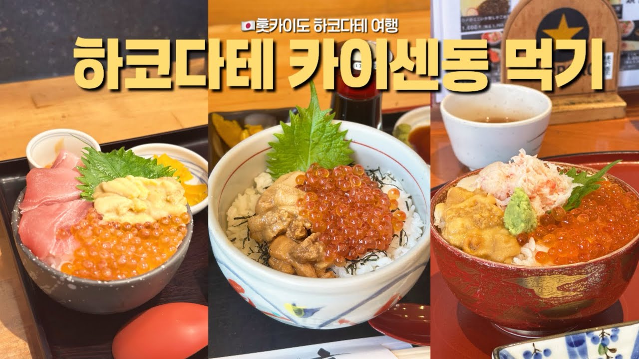 🇯🇵홋카이도 하코다테 2박 3일 여행 (아침시장, 돈부리 요코쵸, 우니무라카미, 활오징어낚시, 고료카쿠산책)