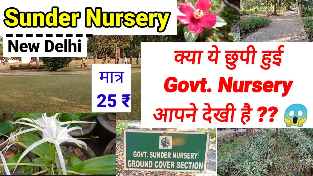 अनमोल खजाना !!!||Sunder Nursery Humayun Tomb|| #youtube #plantnurseryvisit 