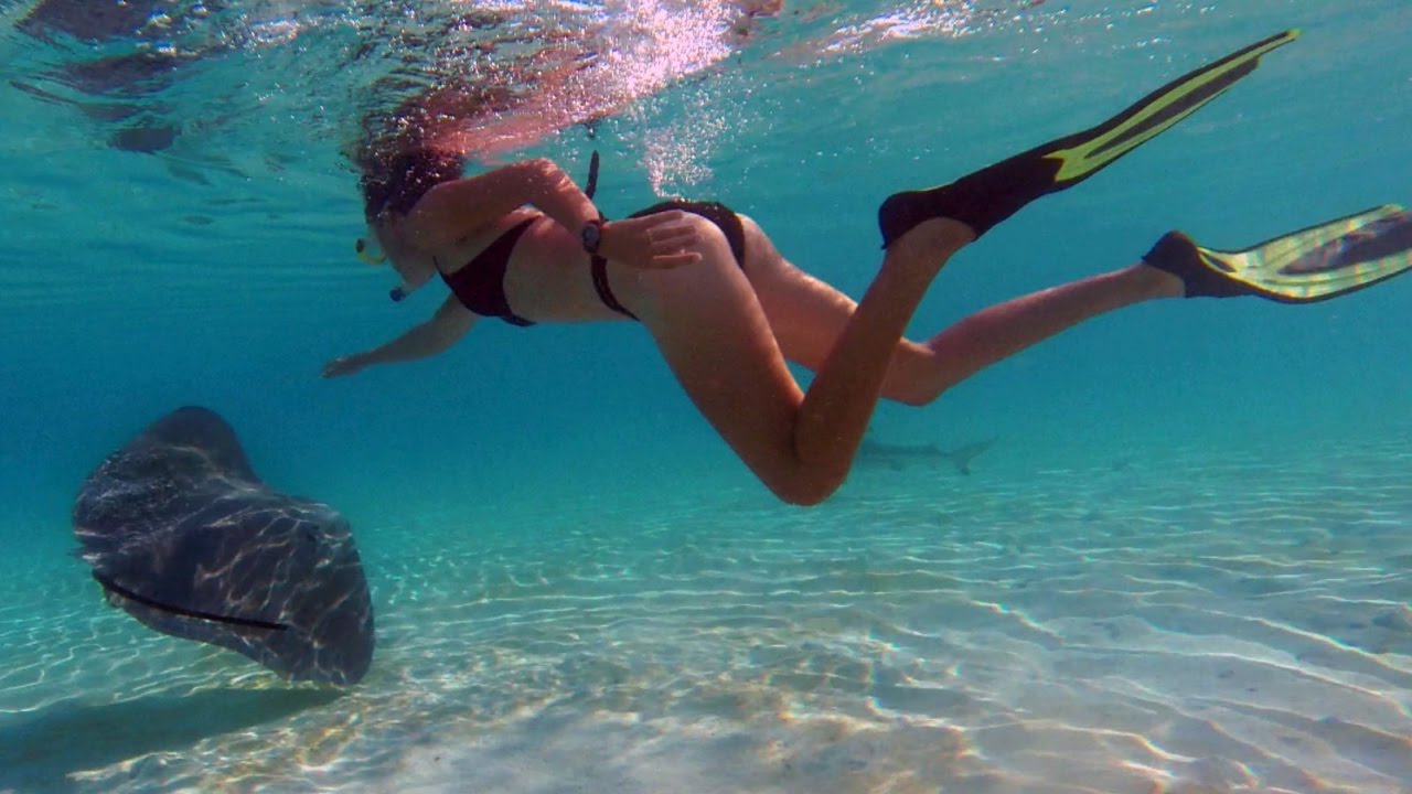 16. Dancing with Stingrays in Moorea, Sailing French Polynesia @The Life Nomadik