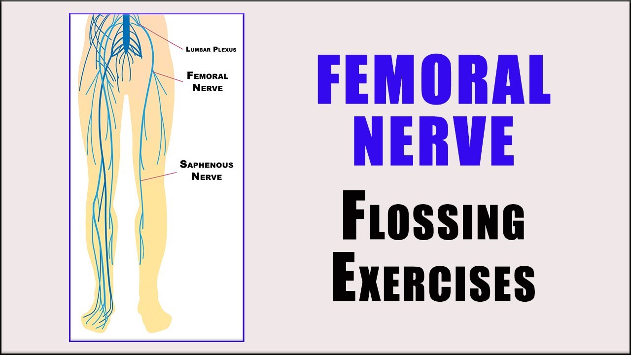 Nerve Glides | Упражнения по чистке зубов зубной нитью при защемлении бедренного нерва