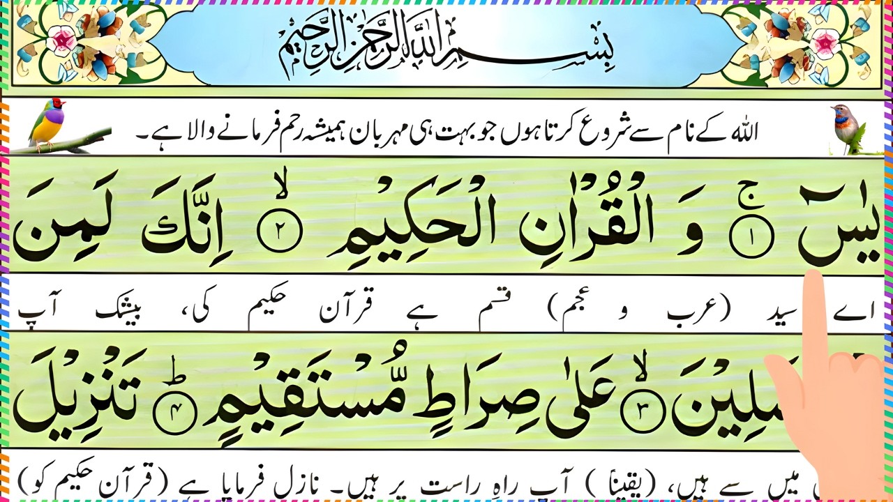Surah Yaseen 🤲 Surah Ar Rahman 🕋 Best Qur'an Recitation |Surah Yasin full| With Arabic text HD (384)
