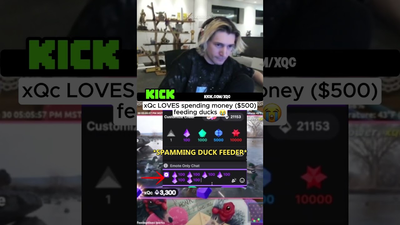 xQc loves feeding ducks...