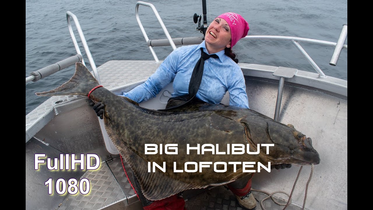 BIG HALIBUT - LOFOTEN - HEMMINGODDEN  LODGE 2019 - May Liza Johansen, Kato Andre Bøe