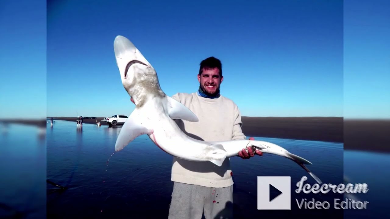 HERMOSA JORNADA, CON 2 TIBURONES EN BAHIA SAN BLAS