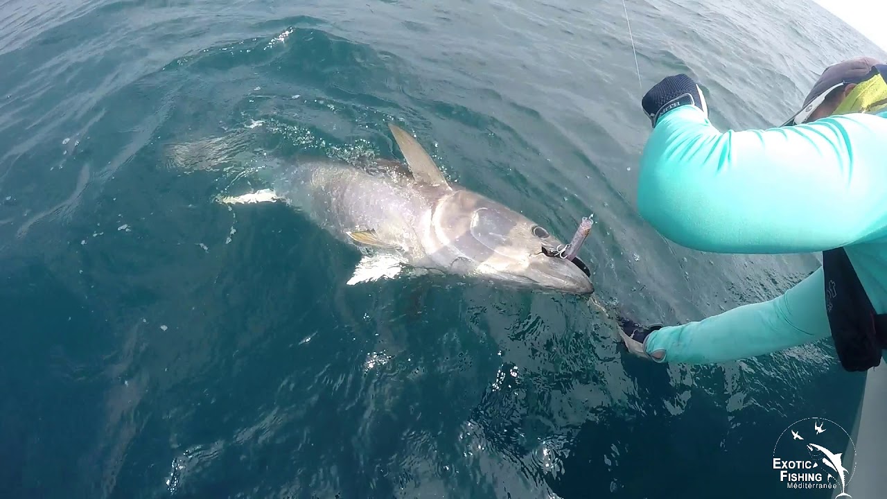 100% THON - EXOTIC FISHING MEDITERRANEE