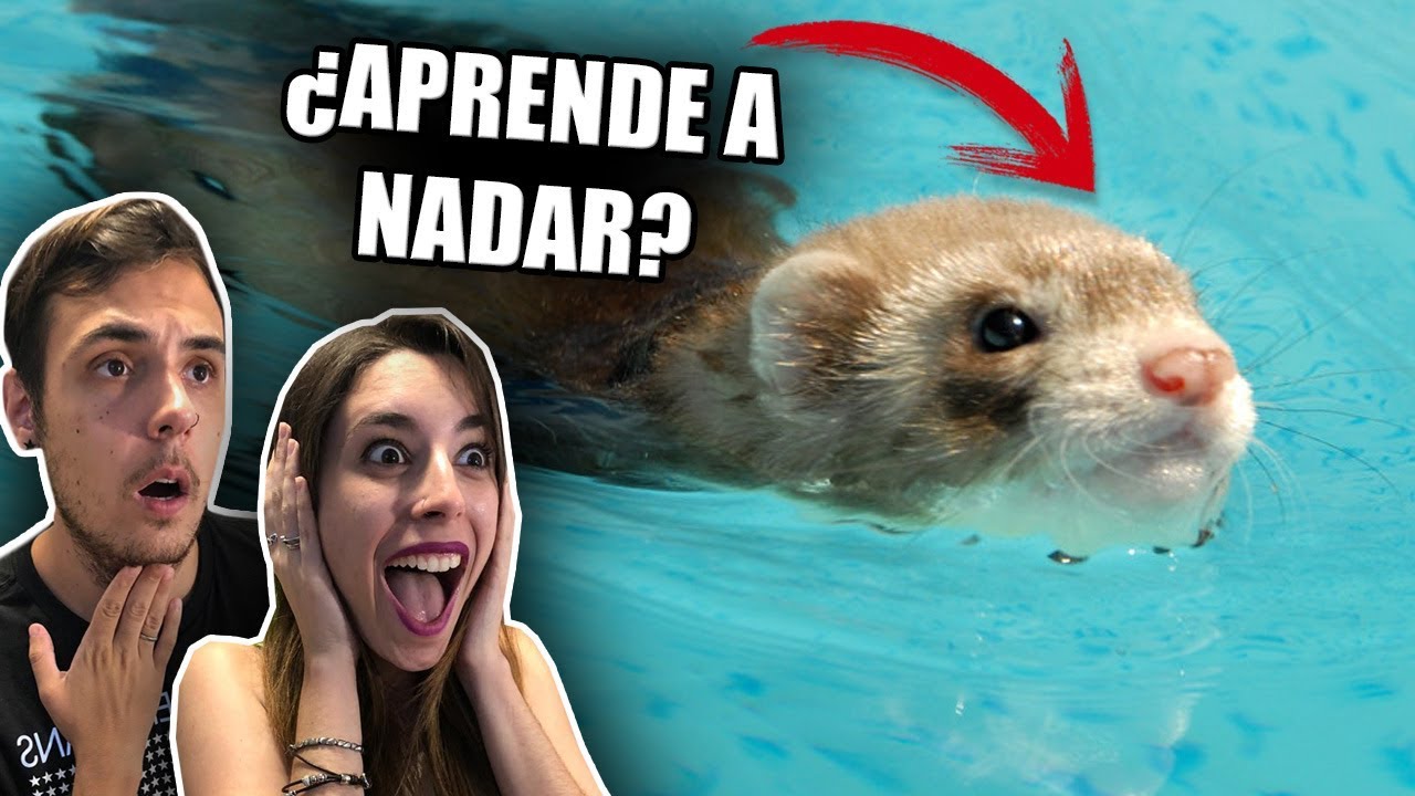 ¿¡APRENDE LA BEBE A NADAR!? LYNA Y YO LE INTENTAMOS ENSEÑAR TRUCOS
