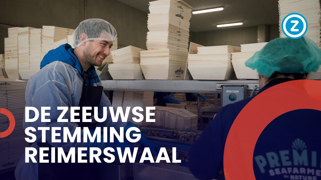 De Zeeuwse Stemming | Reimerswaal