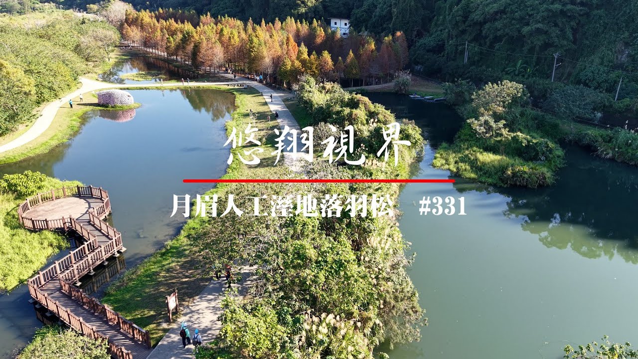 悠翔視界#331 - 月眉人工濕地落羽松