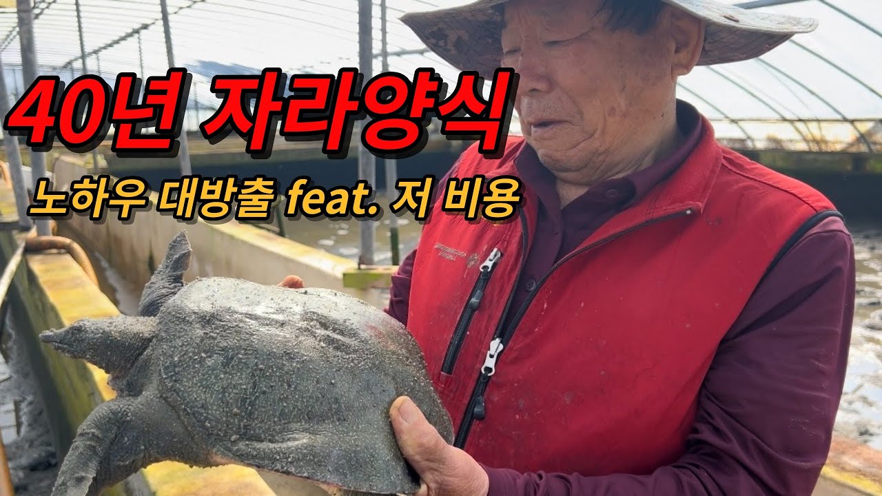 돈이 안들어가는 귀어,귀농 찾으신가요?? 저 비용 고수익의 대명사!! 자라양식!! | 40년 노하우 대공개