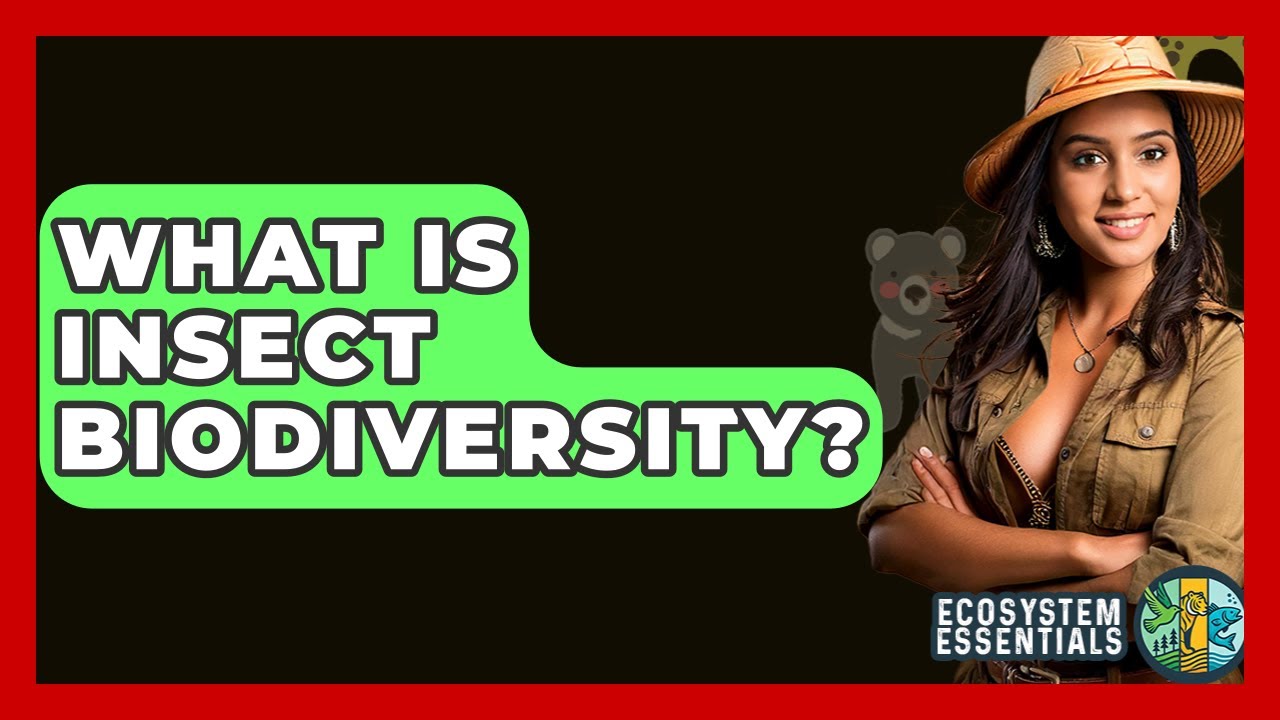 What Is Insect Biodiversity? - Ecosystem Essentials