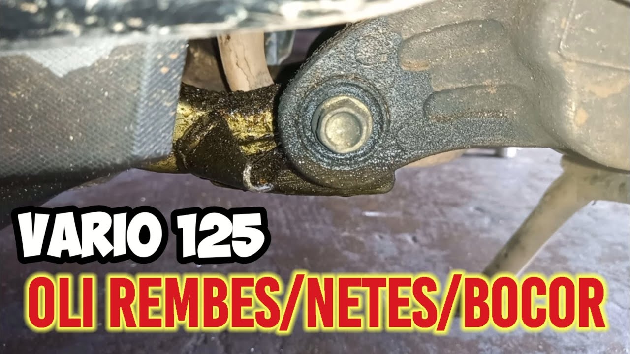 Oli Bocor Vario 125 | Penyebab Oli Vario 125 REMBES | Penyebab Oli Rembes Pada Blok Mesin Vario 125