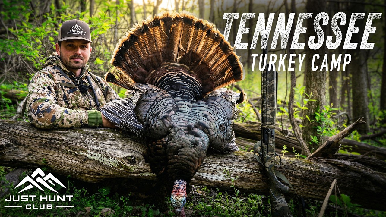 Tennessee Turkey Hunting Opening Day | 3 Gobblers Come Running!