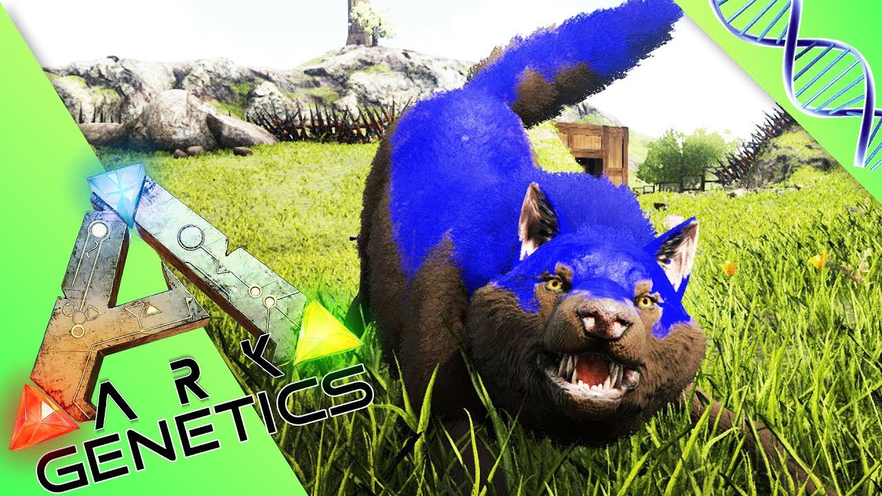 ARK GENETICS : LES MUTANTS ! Loup y es-tu ? Direwolf en folie ! /25