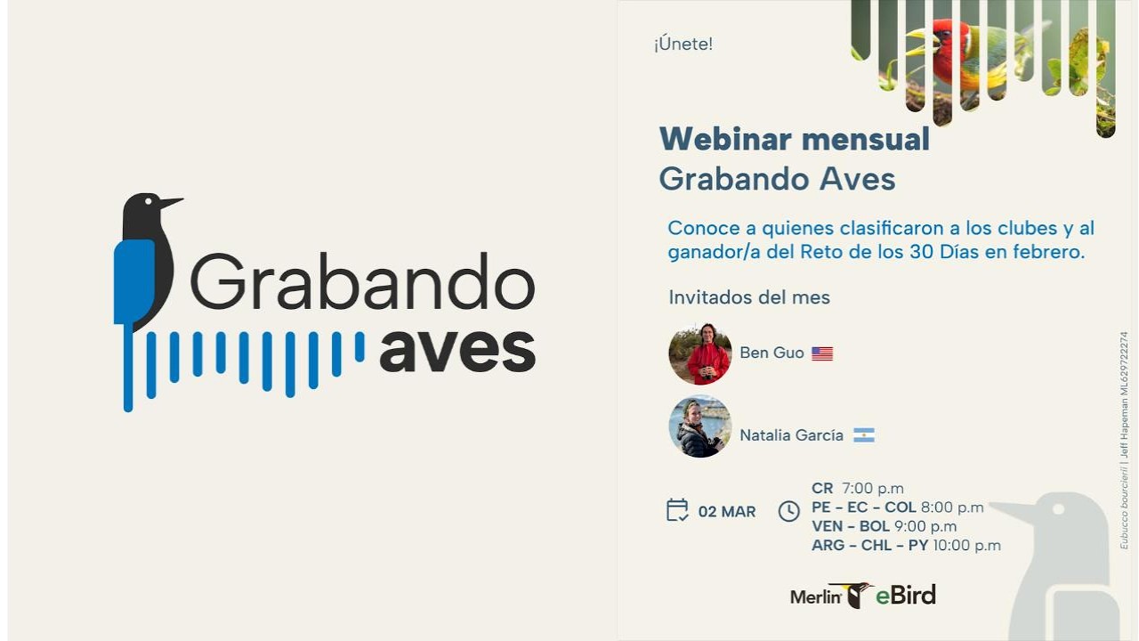 Grabando Aves Segundo webinar - 2 de marzo del 2026