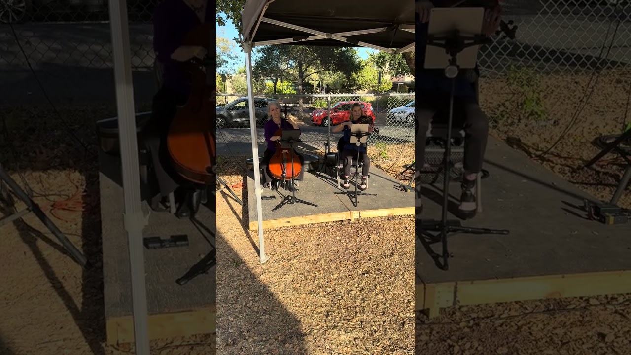 The Mario Brothers Medley Classical