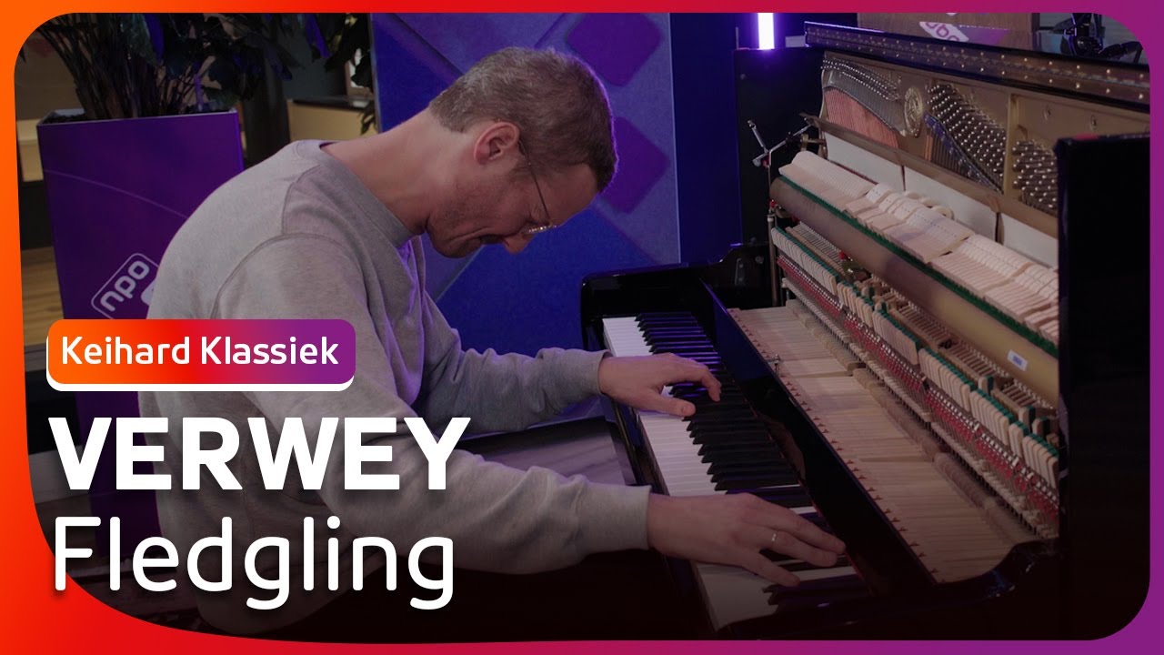 Verwey - Fledgling | Keihard Klassiek