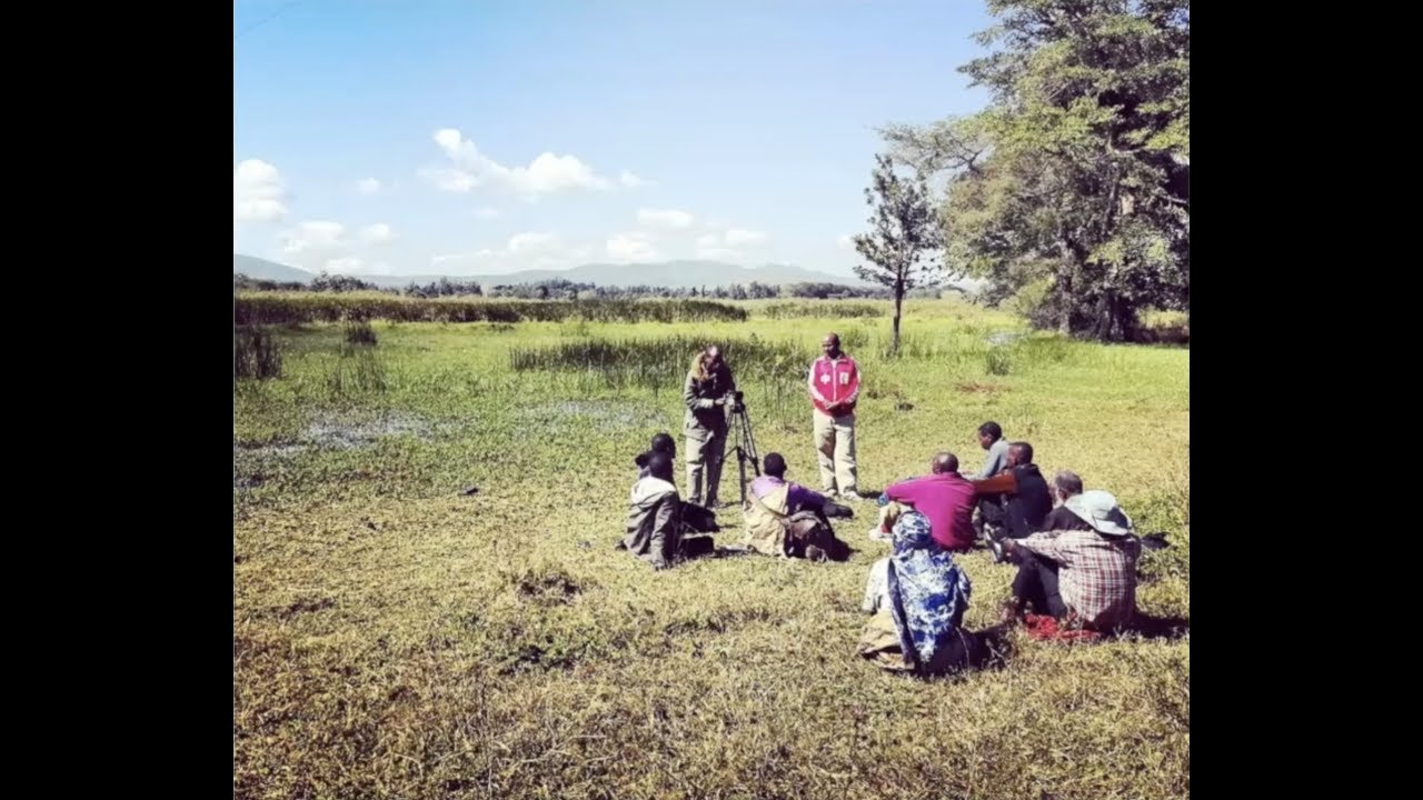 East Africa Day Leiden - Gorwaa, Hadza, and Ihanzu: Language contact variation and grammar inquiries