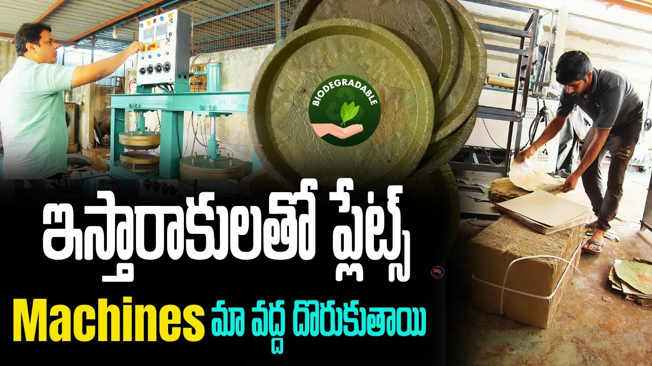Biodegradable paper plates making business | machines manufacturer in hyderabad 