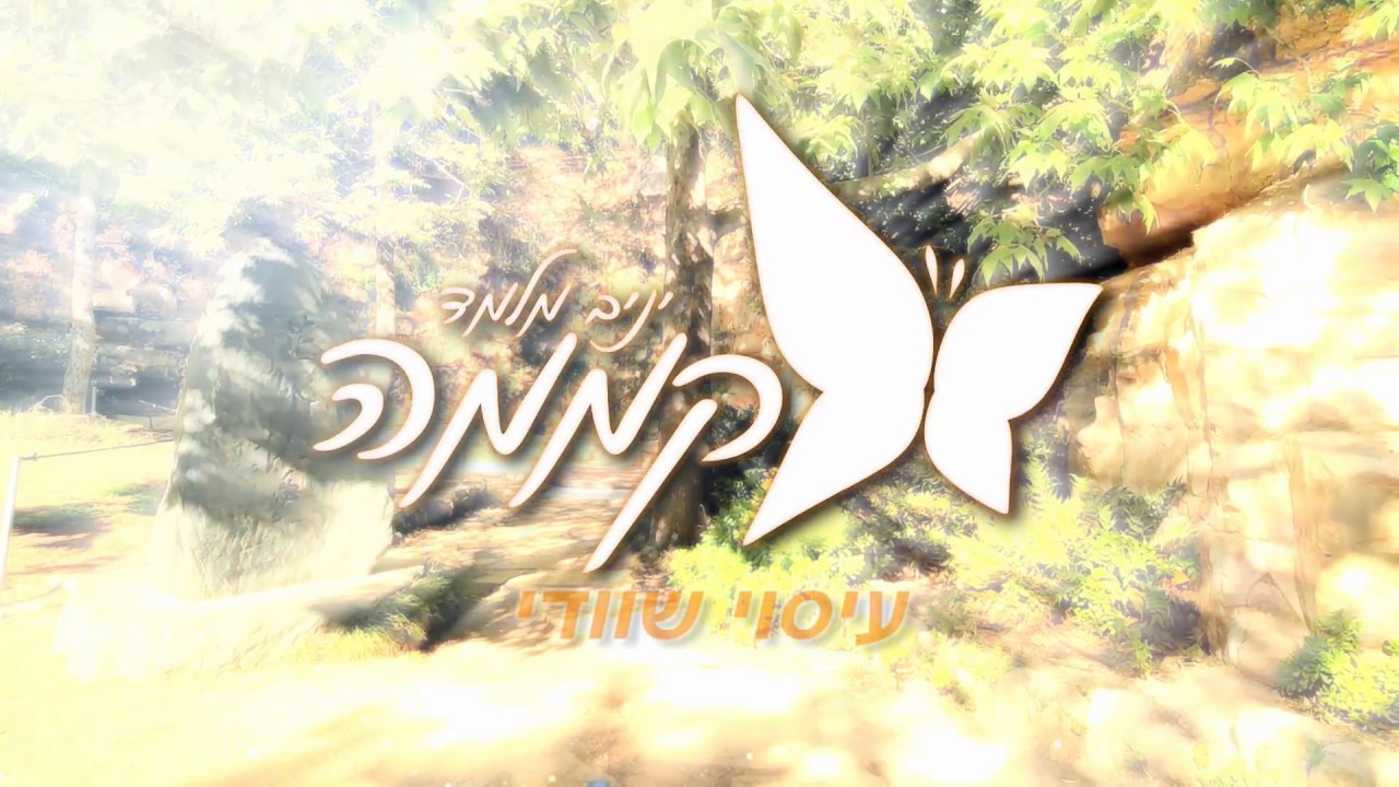 עיסוי שוודי - קממה