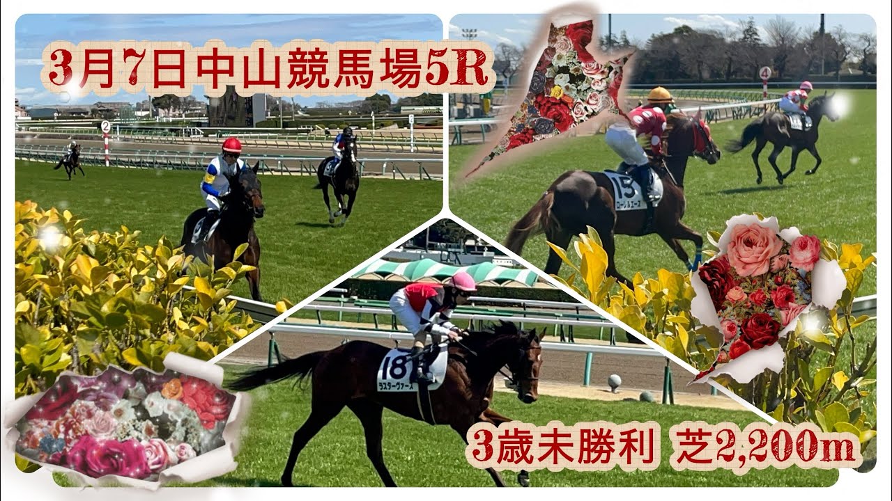 3月7日(土)中山競馬場5R返し馬の動画。