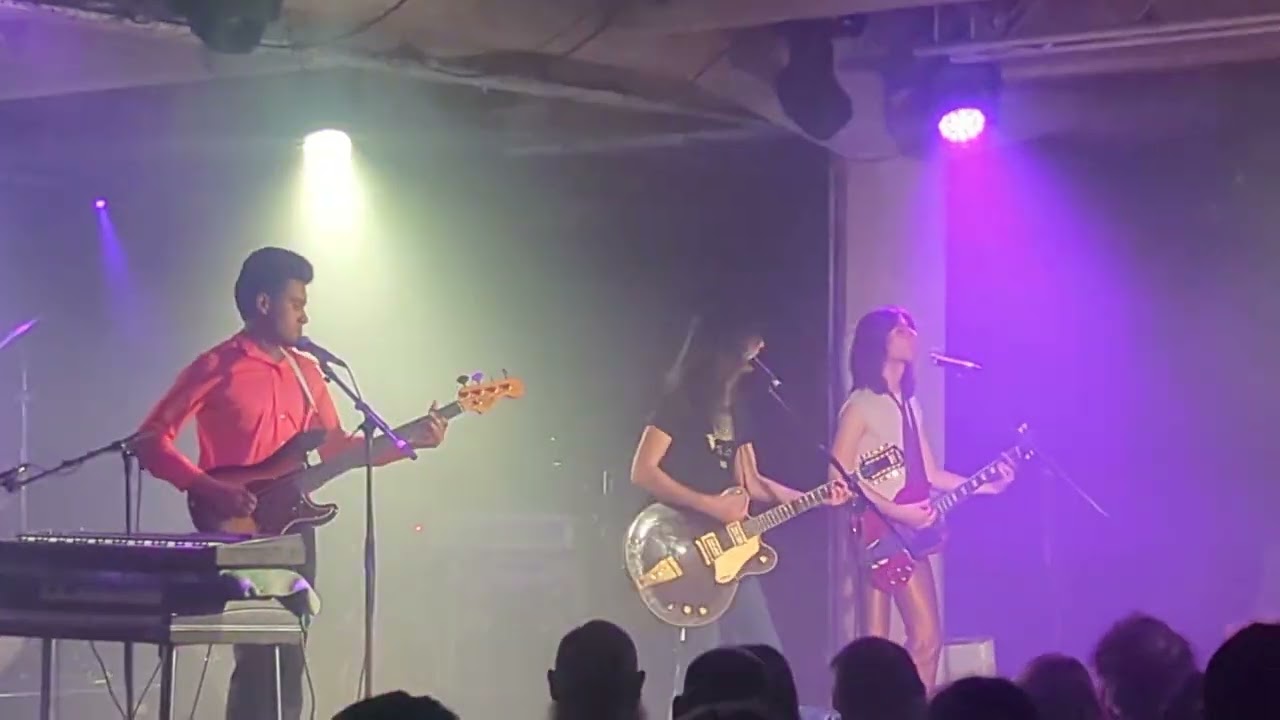 The Lemon Twigs - cover No Milk Today by Herman's Hermits and I'll Be Back by the Beatles