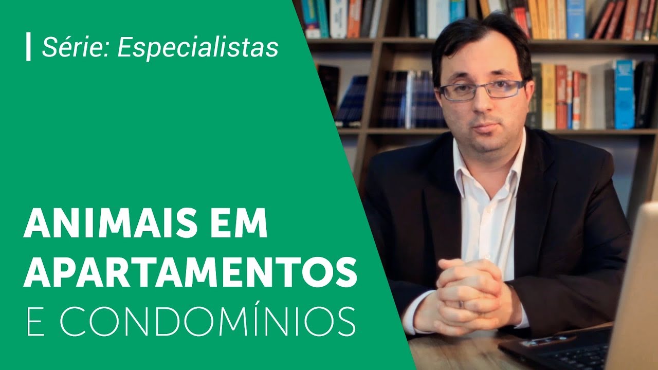 CACHORROS EM APARTAMENTOS: Tudo que você precisa saber sobre cães e outros pets em condomínios