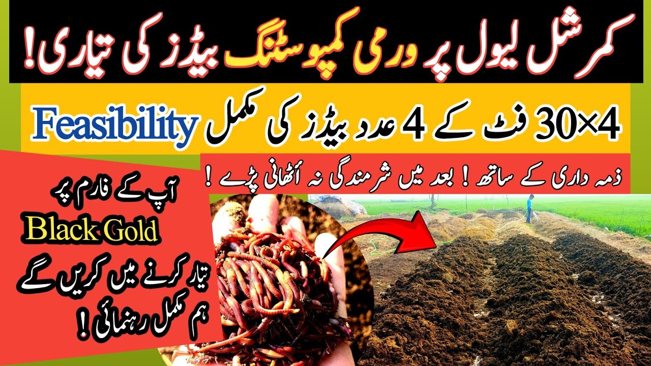 How to Start Vermicopost Business in Pakistan | New Business idea | MR Organic Vermicopost 
