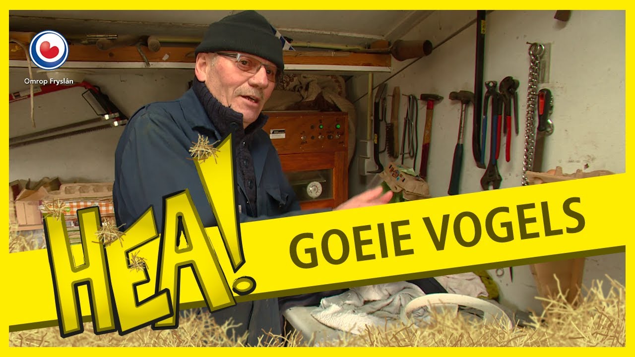 HEA! Goeie Noardburgum