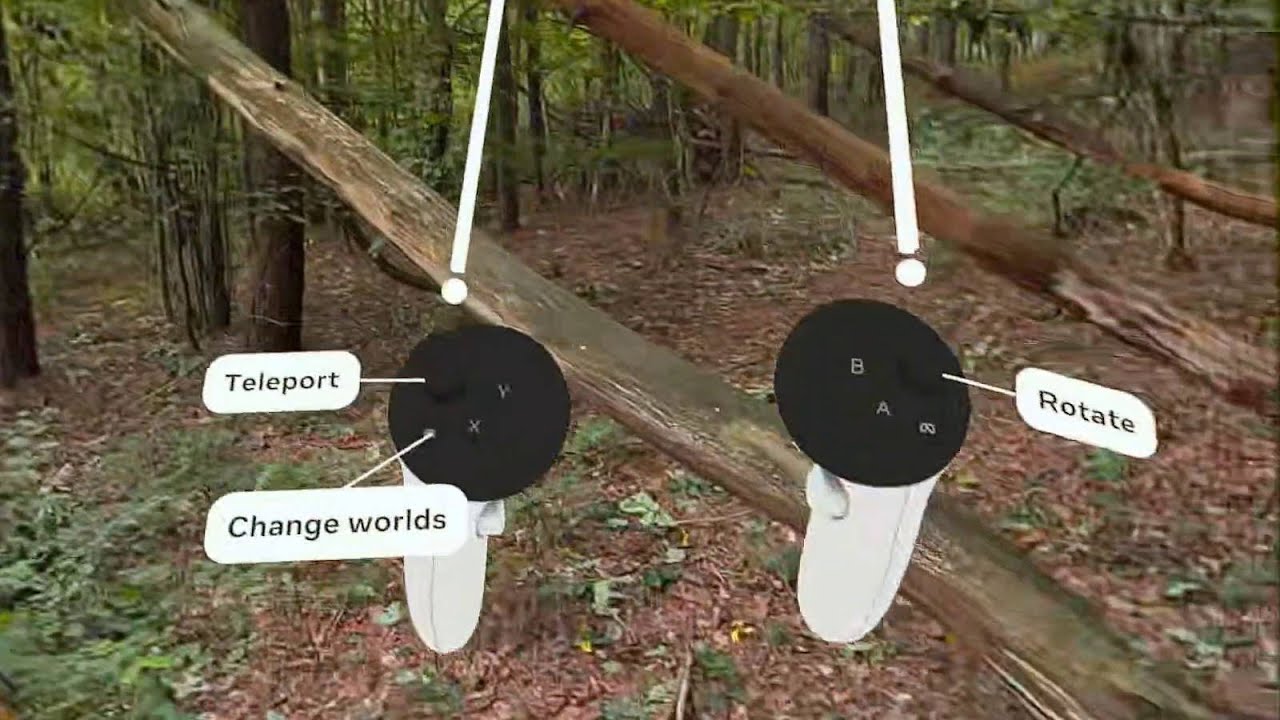 Dense Forest Scanning with Meta Hyperscape Gaussian Splatting