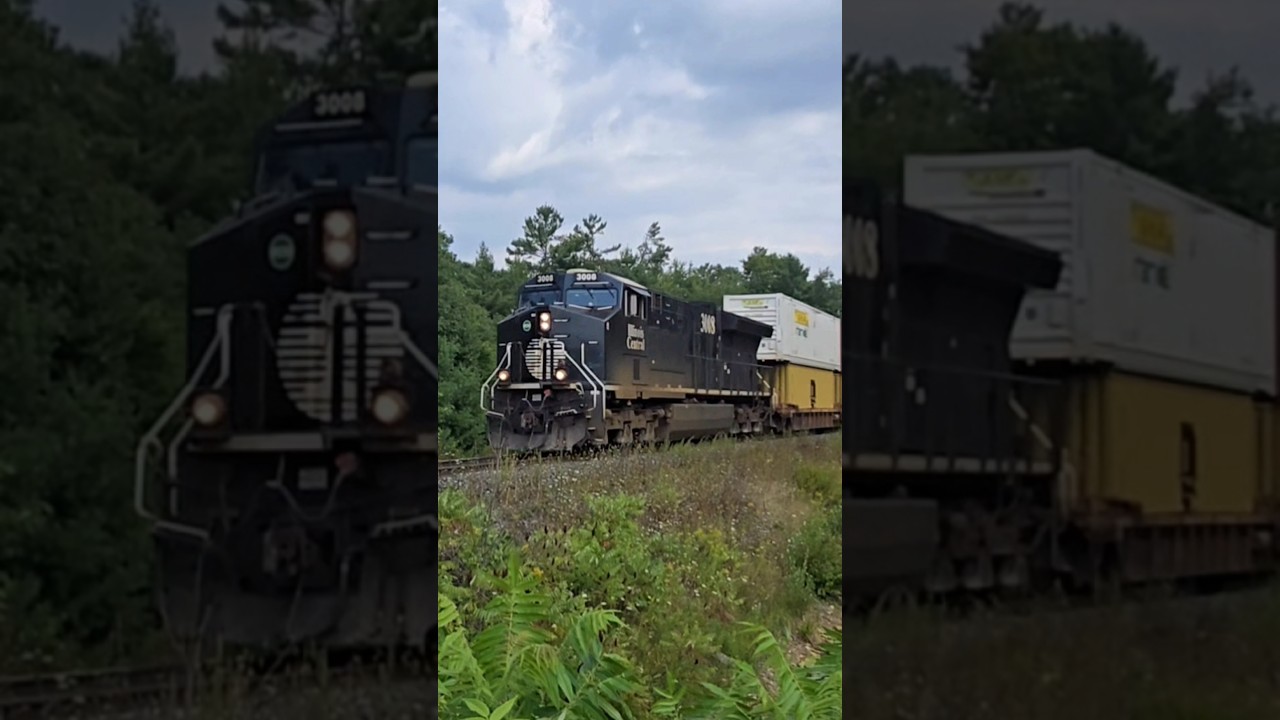CN 3008 IC Heritage Unit (HU) Leads North At Sparrow Lake