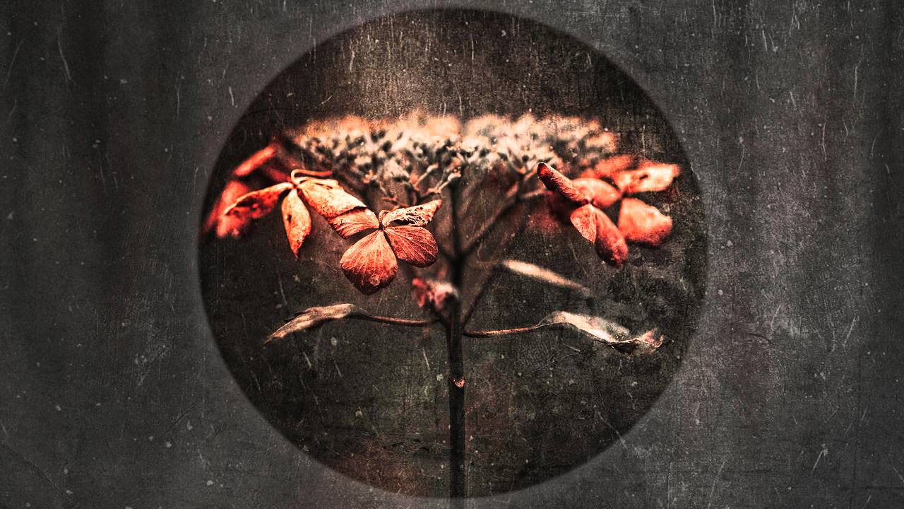 Ambient/Neoclassical Mix (Therapist - The Theory of Incompleteness)