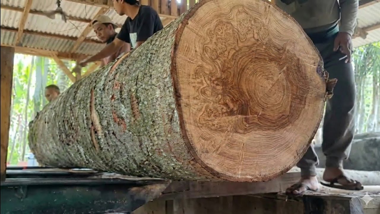 SECONDS AS THE SAW CUTS THE GIANT LOFT, THE RESULT WILL MAKE YOUR HAIR STIR