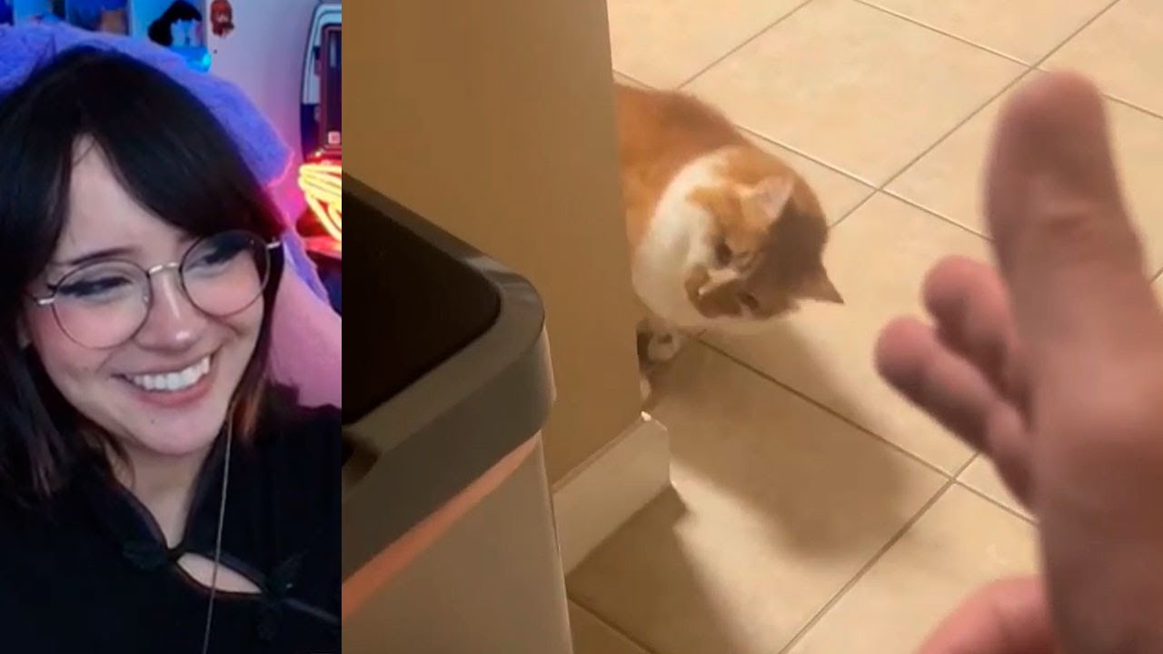REACCIONANDO A UNUSUAL MEMES COMPILATION V356
