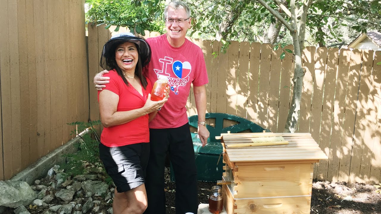 Beekeeping in Texas:  the best honey in the world