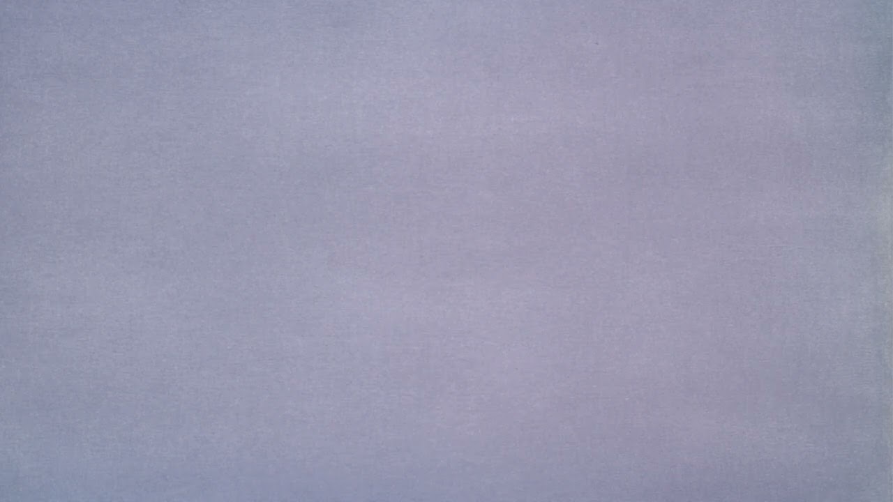 Focus Fields - LONGFORM: Grey Static (4h)