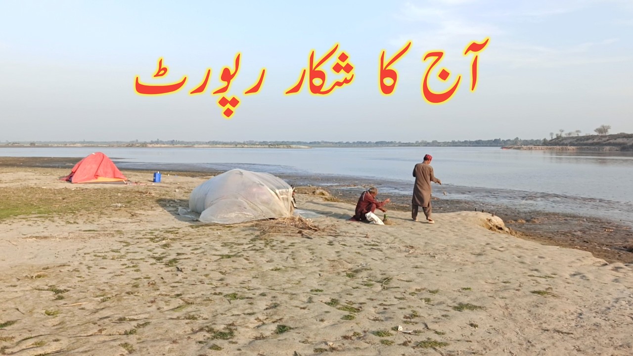 چناب پل سپر پر آج اچانک ایسا منظر… کسی نے سوچا بھی نہیں ہوگا! 🎣