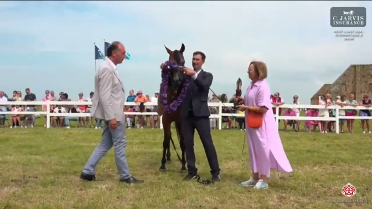 Emma EA Shanghai EA x Etna EA West Coast 2024   SILVER MEDAL at West Coast 2024 International B Show