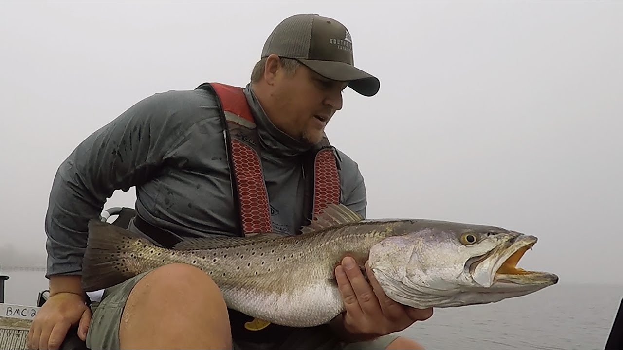 Speckled Trout Fishing  - Catching MONSTER Speckled Trout